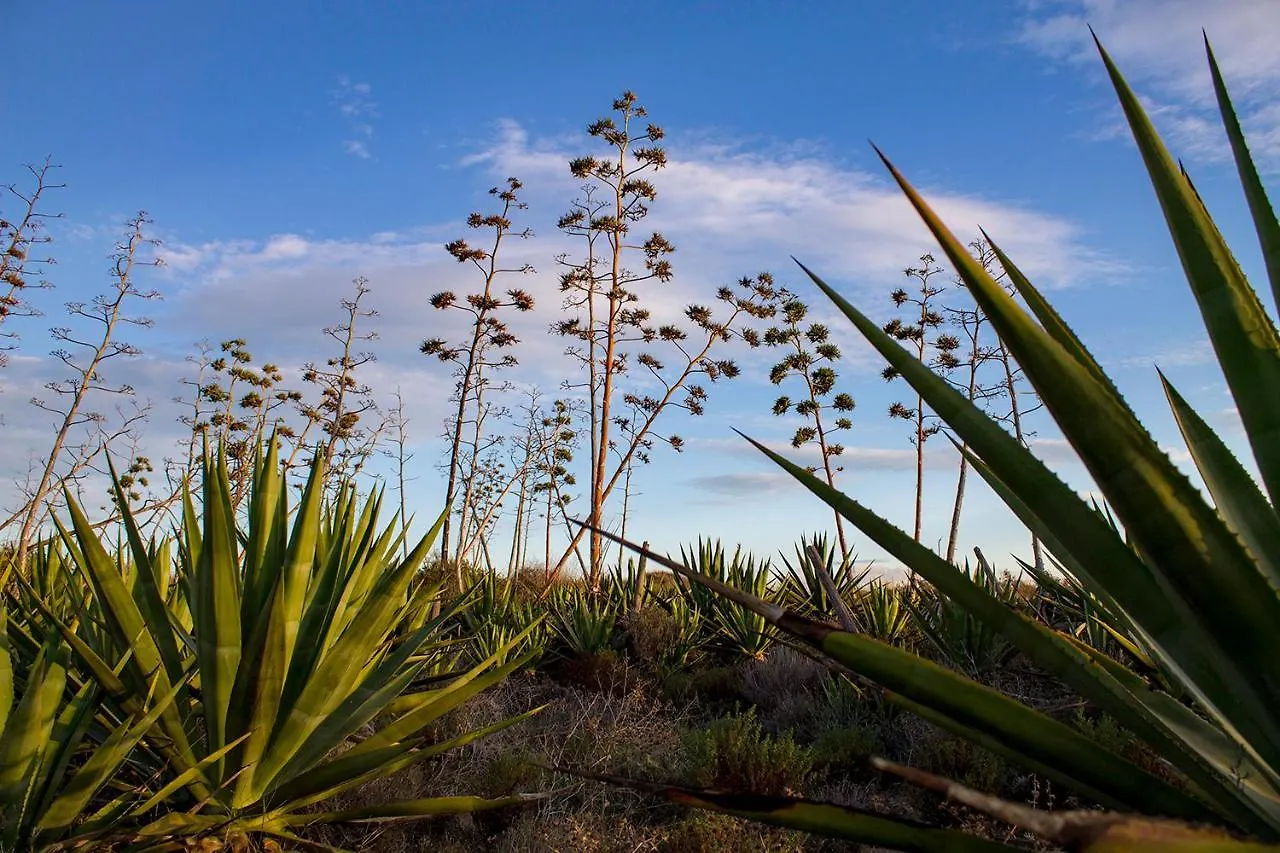 La Palmera. El Amanecer En El Parque Natural アグア・アマルガ 0*,  スペイン